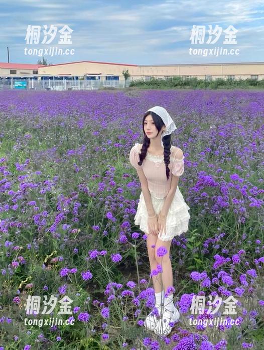 吃瓜天堂 在吃瓜天堂,观看别人的生活,恍若置身于一场戏剧之中。