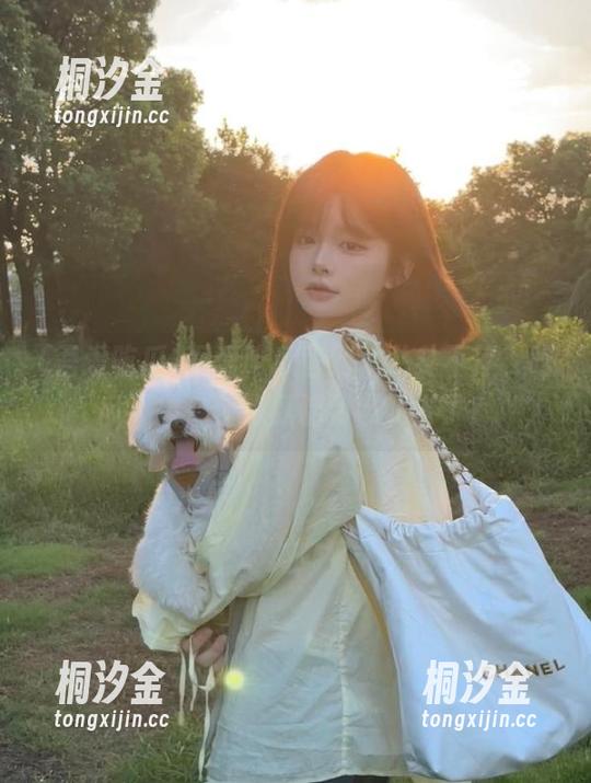 吾爱吃瓜官网，八卦不停，吃瓜不止，你的瓜都到哪儿去了？