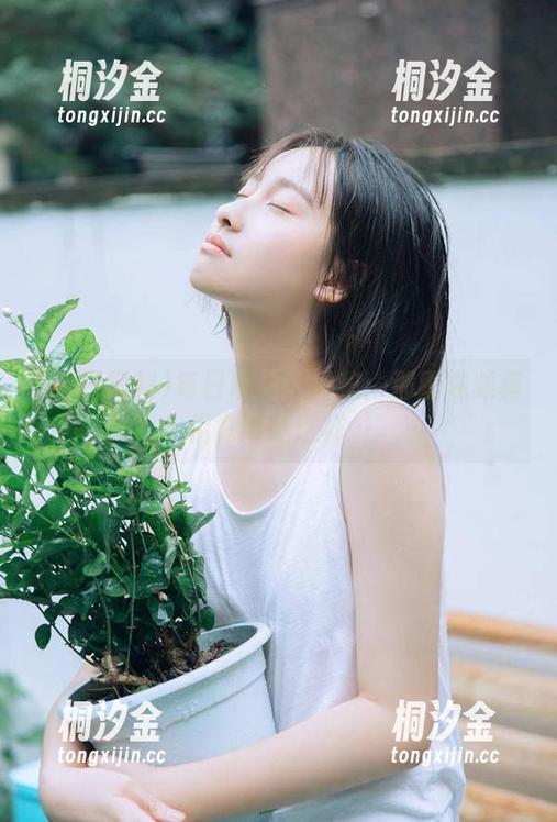 每日黑料 每日黑料大揭秘:那段视频真相竟然是这样…