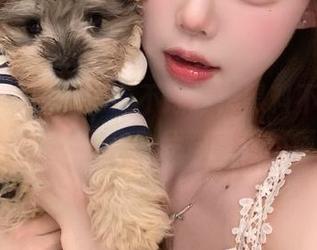 深夜不打烊，黑料不打烊最新流言什么鬼？我简直看不懂了