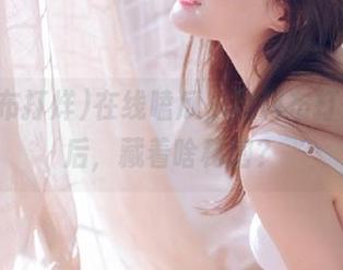 在线嗑瓜，黑料布打烊的背后，藏着啥秘密？