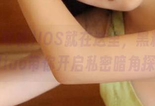 IOS就在这里，黑料老司机heiliao带你开启私密暗角探险！