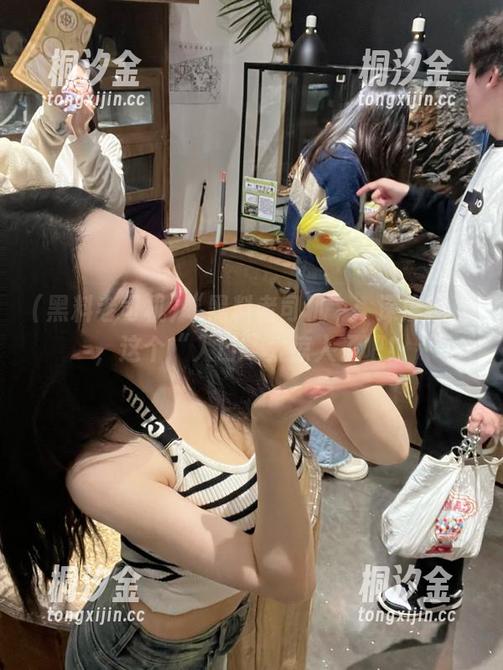 黑料老司机 “黑料老司机”:深度揭秘,这个“入口”太惊人了吧!